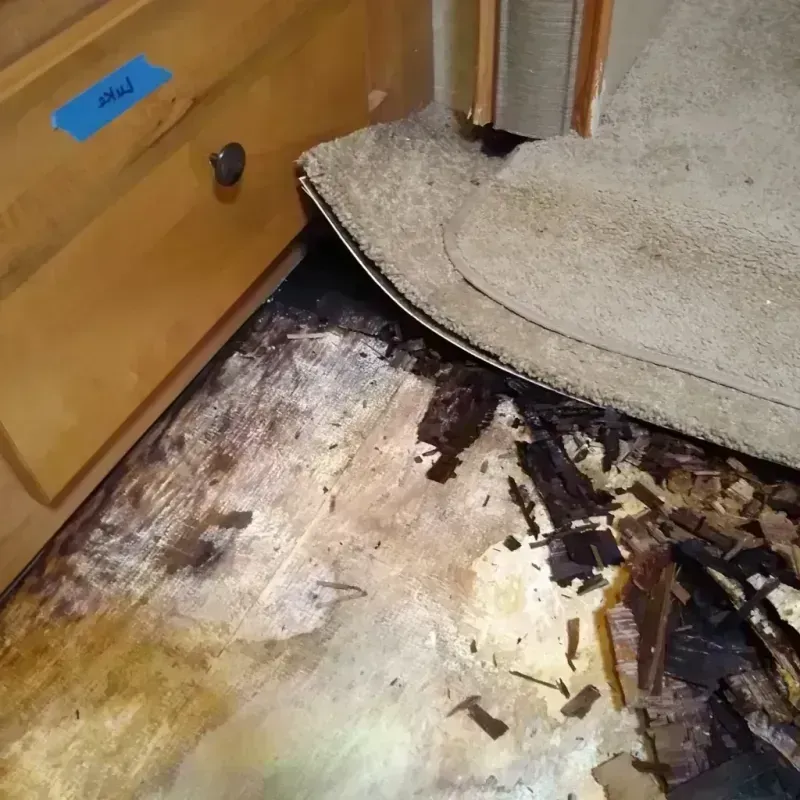 Best Wood Floor Water Damage Service in Melrose Park, FL